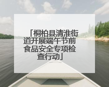 桐柏县清淮街道开展端午节前食品安全专项检查行动